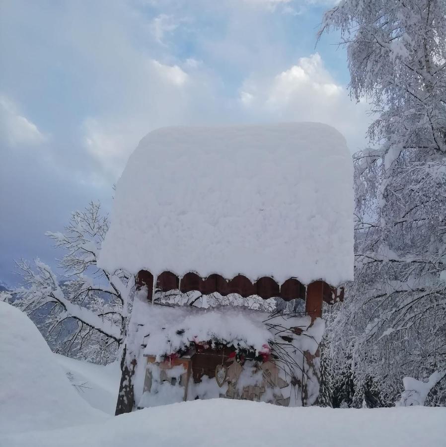 Bed and Breakfast Maso Pin Мадонна-ді-Кампільйо Екстер'єр фото