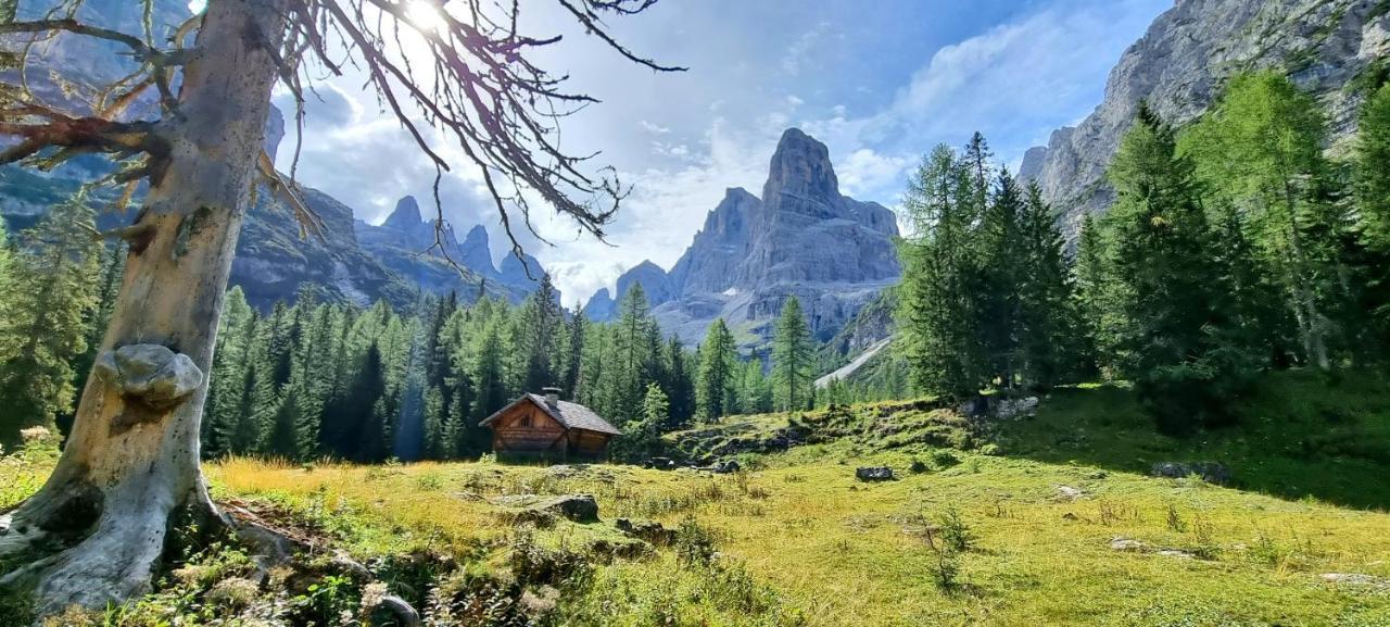 Bed and Breakfast Maso Pin Мадонна-ді-Кампільйо Екстер'єр фото