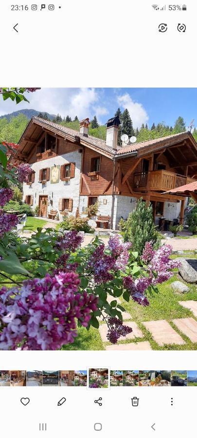 Bed and Breakfast Maso Pin Мадонна-ді-Кампільйо Екстер'єр фото