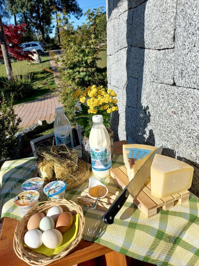Bed and Breakfast Maso Pin Мадонна-ді-Кампільйо Екстер'єр фото