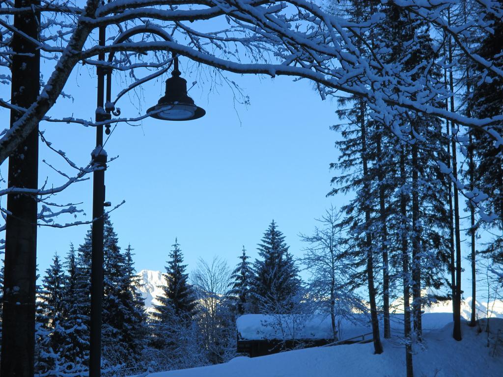 Bed and Breakfast Maso Pin Мадонна-ді-Кампільйо Екстер'єр фото